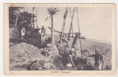 bnk cp Egipt - Fantani cu cumpana ( Chadoufs ) - necirculata foto