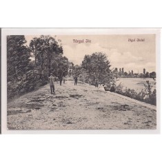 Carte postala necirculata din perioada interbelica Targu Jiu