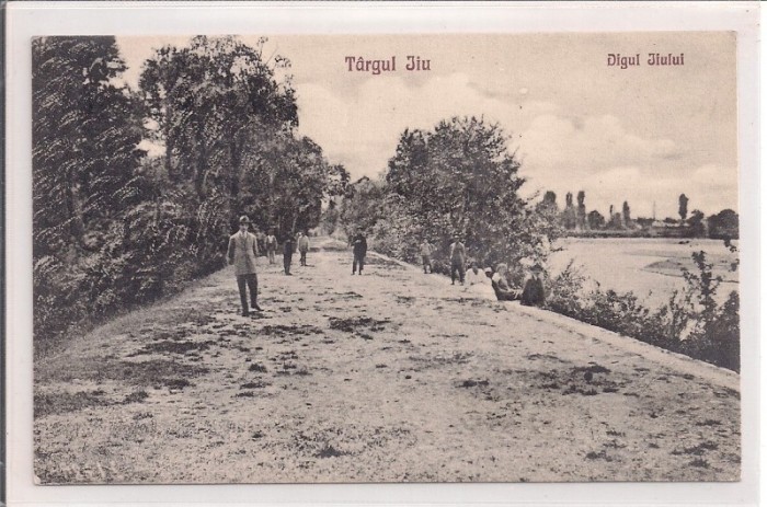 Carte postala necirculata din perioada interbelica Targu Jiu