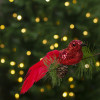 Ornament de Crăciun - pasăre cu sclipici - cu clemă - roșie - 2 buc/pachet 58643A, General