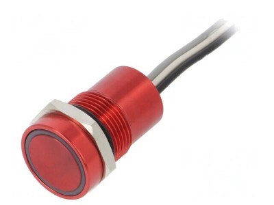 Comutator Capacitiv IP68 12V SPST-NO foto