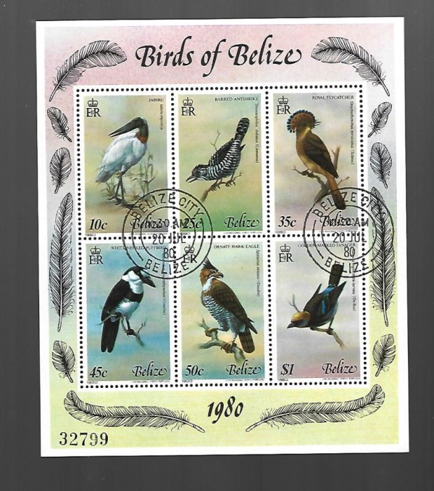 belize pasari