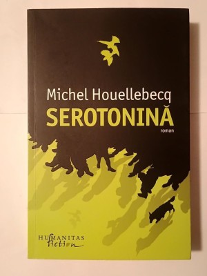 Michel Houellebecq - Serotonina (roman) foto