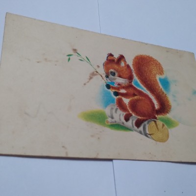CARTE POSTALA FELICITARE PASTI CIRCULATA foto