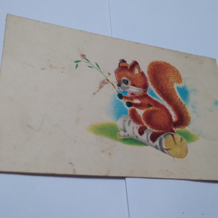 CARTE POSTALA FELICITARE PASTI CIRCULATA
