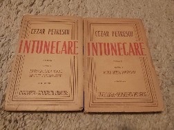 Intunecarea