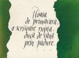 Bogdan Tanase Marinescu - Compozitie caligrafica - Haiku Issa, 2024, Nonfigurativ, Cerneala, Miniatural