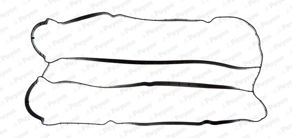 PAYEN JM5155 Garnitura, capac supape