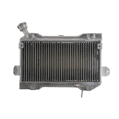 RADIATOR SUZUKI LT R 450 2006 2009 foto