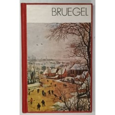 BRUEGEL de MICHAL WALICKI , 1973