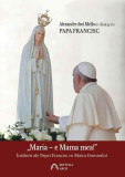 &bdquo;Maria &ndash; e Mama mea!&rdquo; Intalniri ale Papei Francisc cu Maica Domnului | Papa Francisc, Alexandre Awi Mello