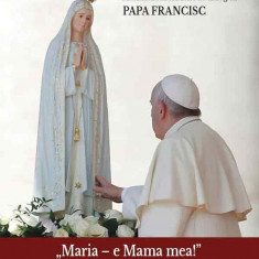 „Maria – e Mama mea!” Intalniri ale Papei Francisc cu Maica Domnului | Papa Francisc, Alexandre Awi Mello