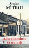 Roman Adu-ti aminte sa nu uiti Stefan Mitroi RAO paperback brosat Campia Dunarii carti beletristica