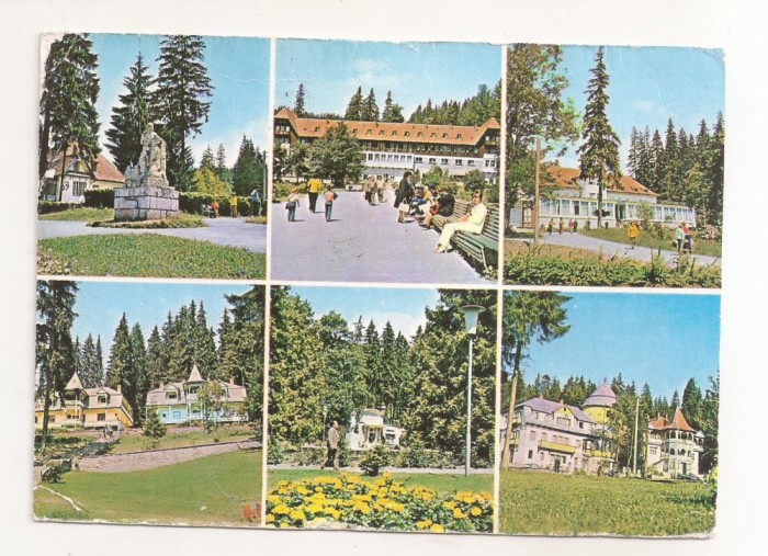 RF142 - Carte Postala - Borsec, circulata 1981