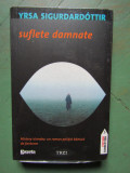 Yrsa Sigurdardottir - Suflete damnate