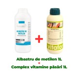 Albastru de metilen 1 litru + Complex vitamine și minerale pentru păsări Bio Multivita, 1 Litru