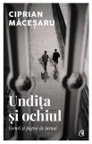 Undita si ochiul. Eseuri si pagini de jurnal - Ciprian Macesaru - Critica literara