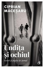 Undita si ochiul. Eseuri si pagini de jurnal &ndash; Ciprian Macesaru