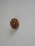 QW9 N 11 - insigna - militar - misune Afganistan 2003 - Bufnita pe spada