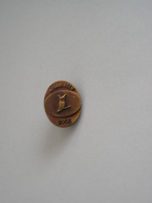 QW9 N 11 - insigna - militar - misune Afganistan 2003 - Bufnita pe spada foto