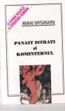 Cartea Mihai Ungheanu - Panait Istrati si Kominternul. Istorie politica literatura romana