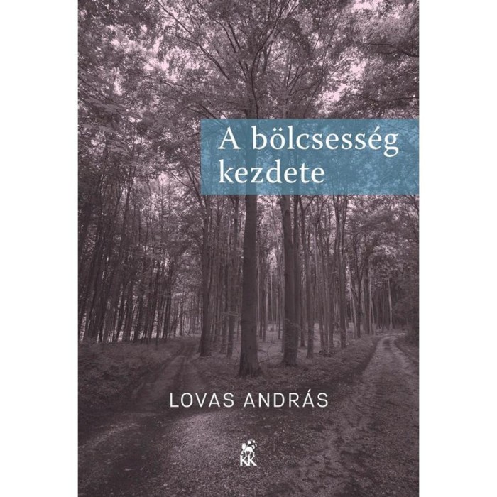 A b&ouml;lcsess&eacute;g kezdete - Lovas Andr&aacute;s