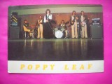 HOPCT 11087 FORMATIA POPPY LEAF- ACTORI SI ARTISTI CELEBRI -EUROPA -NECIRCULATA