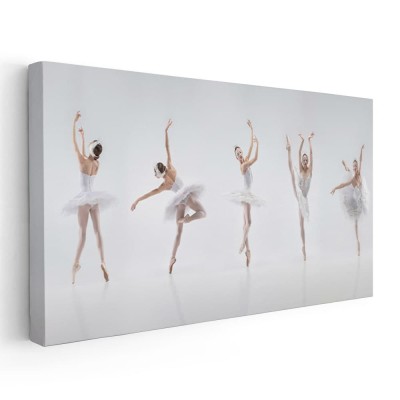 Tablou balerina in diverse pozitii de dans 2072 Tablou canvas pe panza CU RAMA 70x140 cm foto