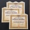 Lot 3 actiuni petrol Romania 1926 SIPER , serie consecutivă / actiune / titlu