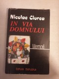 Nicolae Ciurea - In Via Domnului