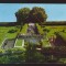 CPIB 22925 - CARTE POSTALA - AVRIG. VEDERE DIN PARC, RPR
