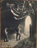 Revista Az &Eacute;rdekes Ujs&aacute;g 7/1916, 56 pagini, Completă - Colecție Rară