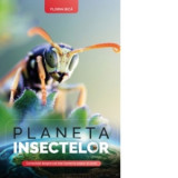 Planeta insectelor - Florin Bica