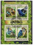 SIERRA LEONE 2016 - Fauna, Pasarea indigo/ colita noua, Stampilat