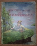 Vladimir Colin - Nemaipomenita bătălie dintre Păpură-&Icirc;mpărat și Pintilie (Editura Tineretului, 1953)