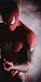 Husa Personalizata XIAOMI Pocophone F1 Spiderman