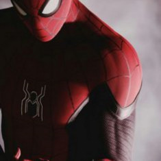 Husa Personalizata ALLVIEW E3 Living Spiderman