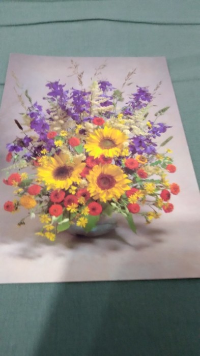 CARTE POSTALA FELICITARE CIRCULATA