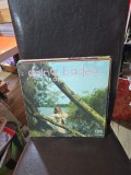 Romante - Doina Badea