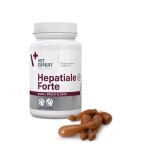 Hepatiale Forte Small Breed &amp; Cats 170 mg Twist Off 40 capsule