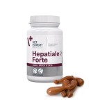 Hepatiale Forte Small Breed &amp; Cats 170 mg Twist Off 40 capsule