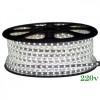 Banda LED 220V, 12W/m, 4100K, IP65, 120 LED/m, 3014, Delight