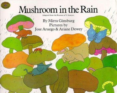 Mushroom in the Rain foto
