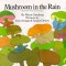Mushroom in the Rain