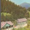 CPIB 16003 CARTE POSTALA - VALEA VINULUI, VILE