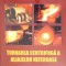 TURNAREA CENTRIFUGA A ALIAJELOR NEFEROASE-FLORIN DIACONESCU-266692