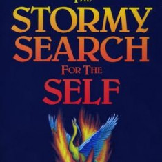 The Stormy Search for the Self