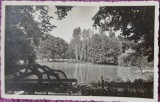 Carte postala, Craiova, lacul din parcul Romanescu, perioada interbelica