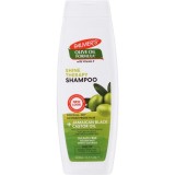 Șampon Palmer&rsquo;s Shine Therapy Olive Oil Formula pentru păr uscat și tern, 400 ml