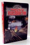 AVENTURILE LUI HUCKLEBERRY FINN de MARK TWAIN , 2010